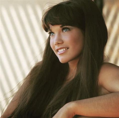 barbi benton playboy photos|863 Barbi Benton Photos Stock Photos & High